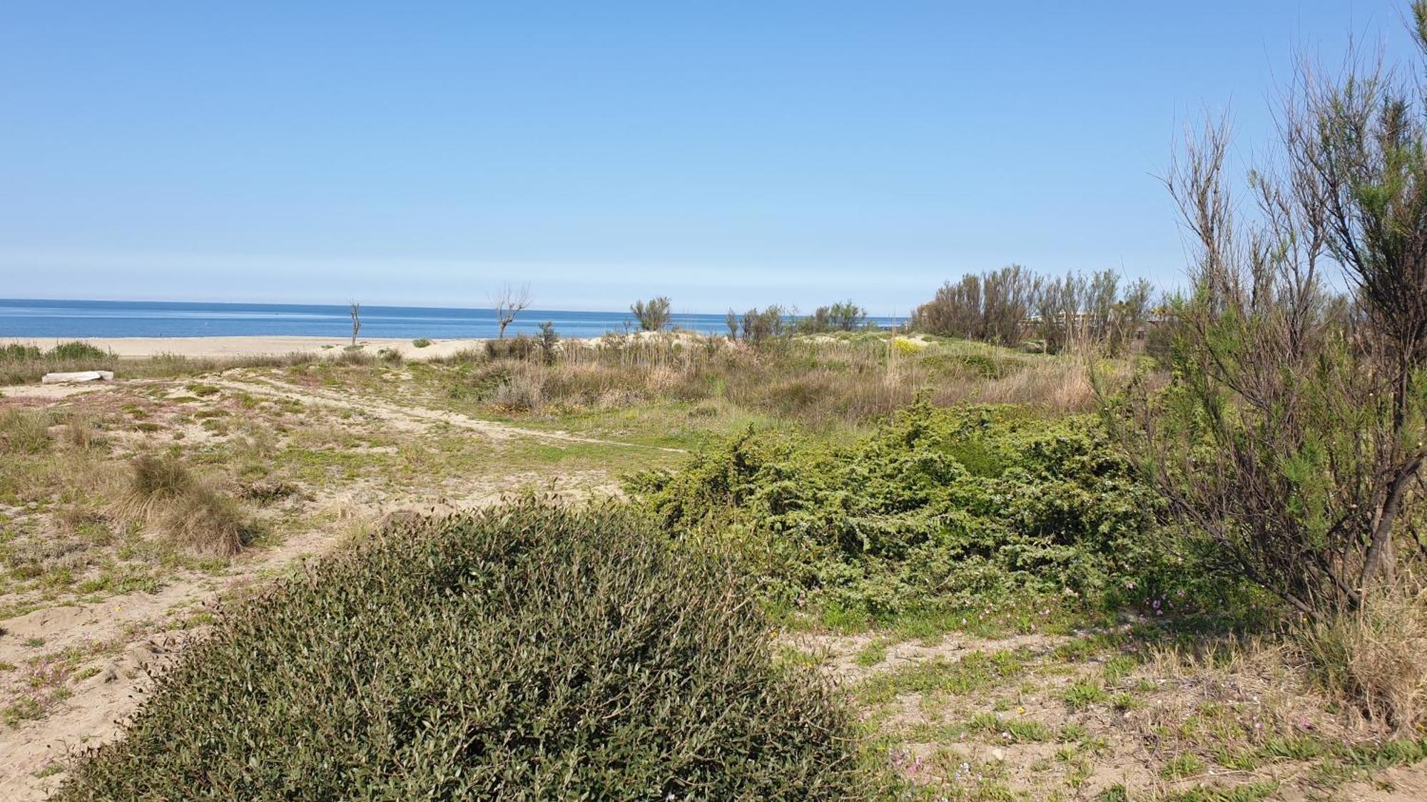 La Bouganville Passoscuro Esterno foto